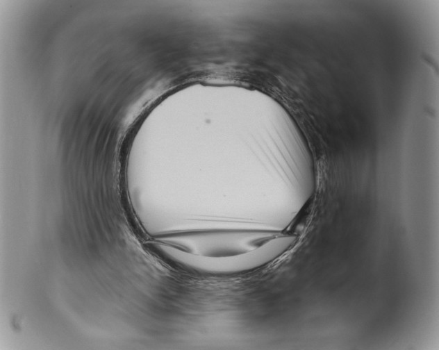 X0000099560150200806131242