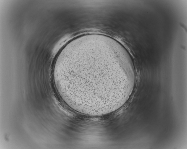 X0000099560151200806131242
