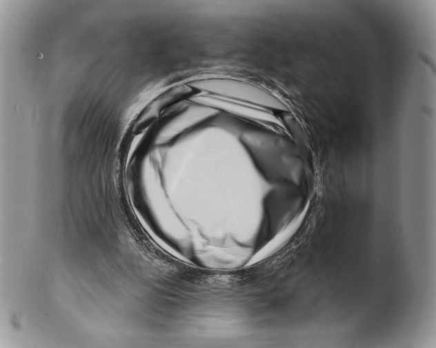 X0000099560152200806131242