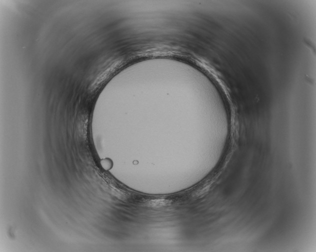 X0000099560153200806131242
