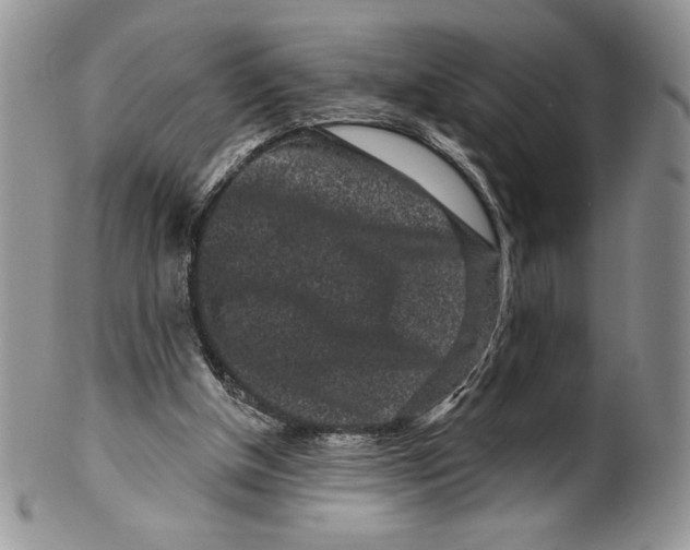 X0000099560154200806131242