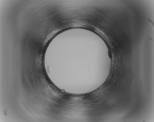 X0000099560155200806131242