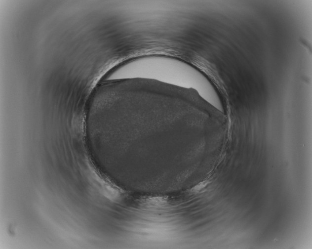 X0000099560156200806131242