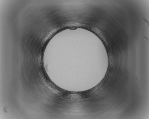 X0000099560159200806131242