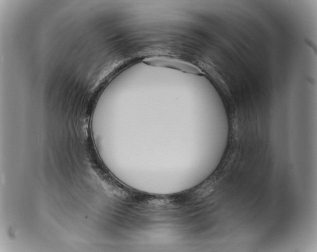 X0000099560160200806131242