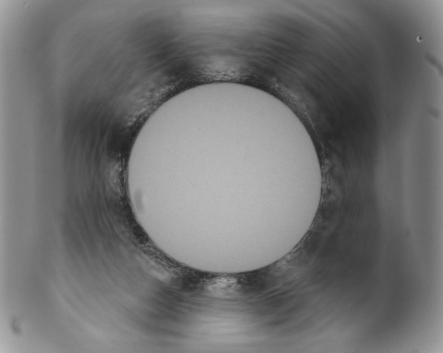 X0000099560162200806131242