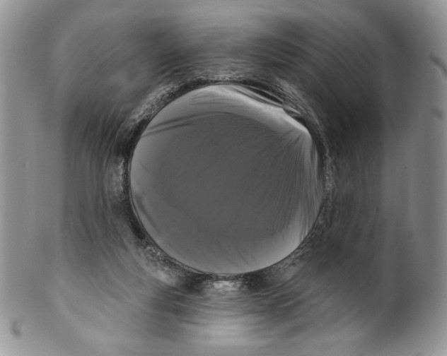 X0000099560163200806131242