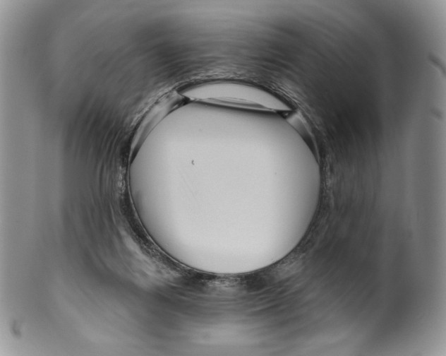 X0000099560164200806131242