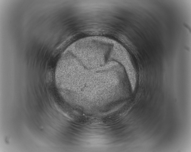 X0000099560165200806131242