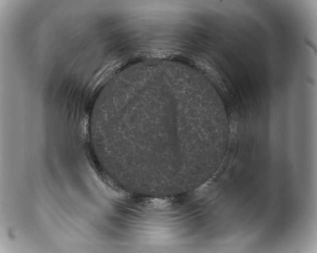 X0000099560166200806131242