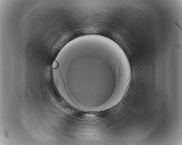 X0000099560167200806131242