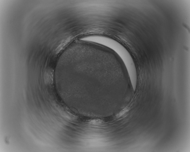 X0000099560168200806131242