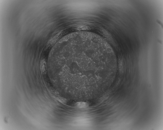 X0000099560169200806131242