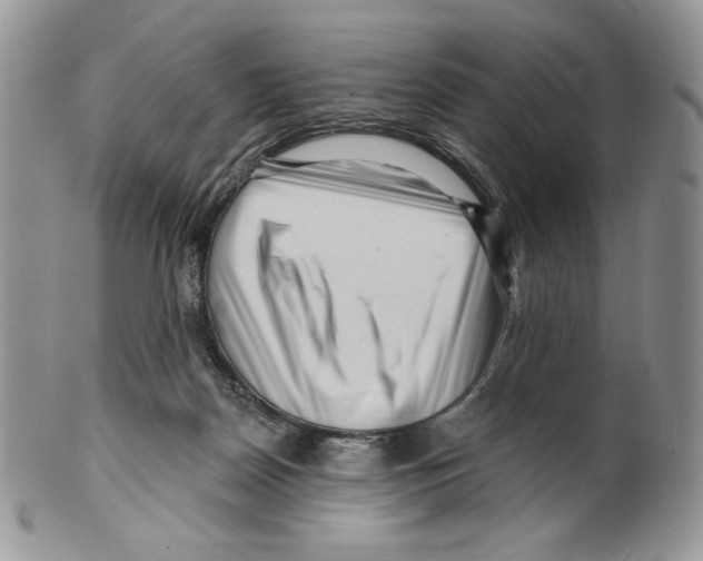 X0000099560170200806131242