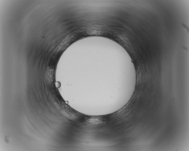 X0000099560171200806131242