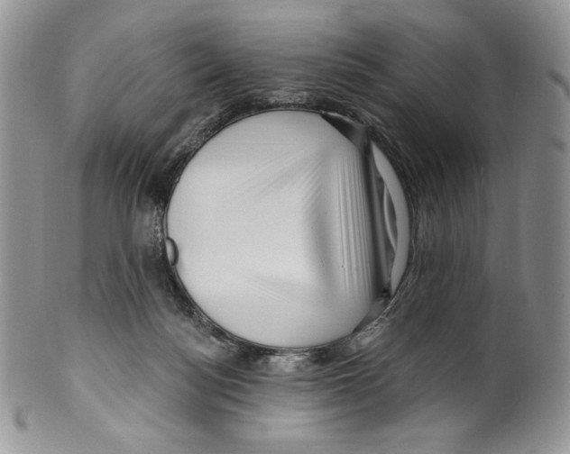 X0000099560172200806131242