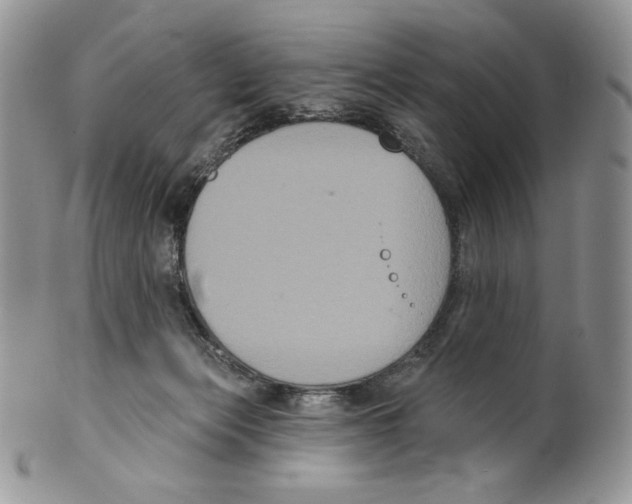 X0000099560173200806131242