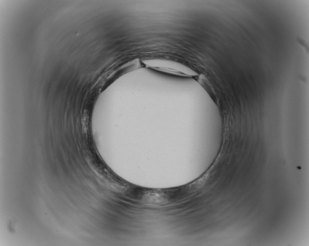 X0000099560174200806131242