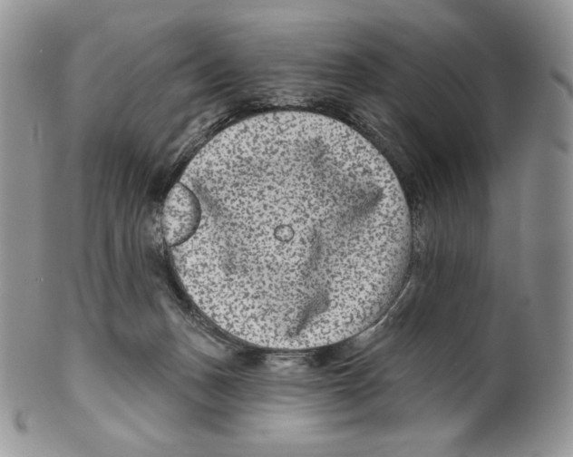 X0000099560175200806131242