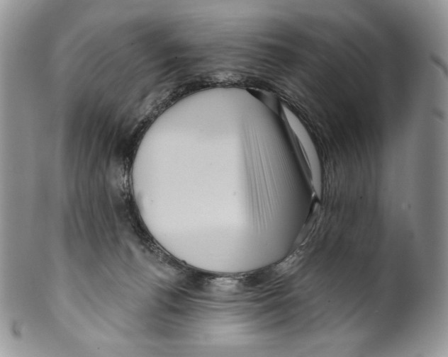 X0000099560176200806131242