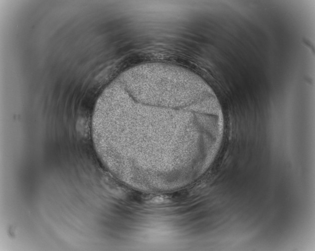 X0000099560177200806131242