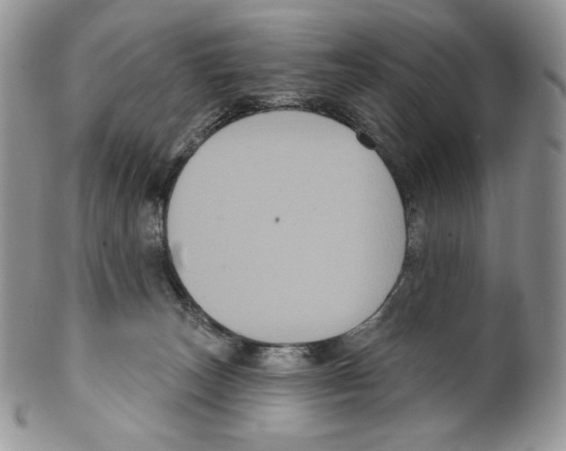 X0000099560179200806131242