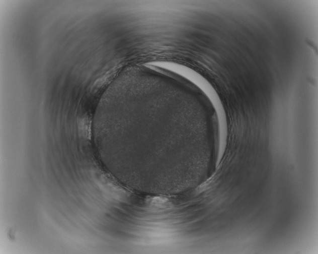 X0000099560180200806131242