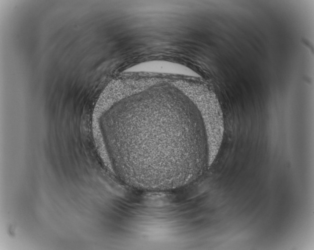 X0000099560181200806131242