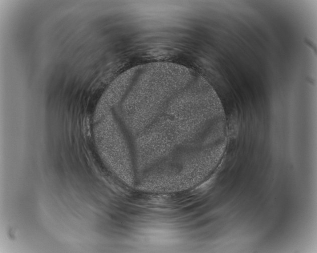 X0000099560182200806131242