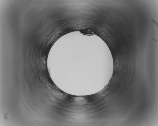 X0000099560183200806131242