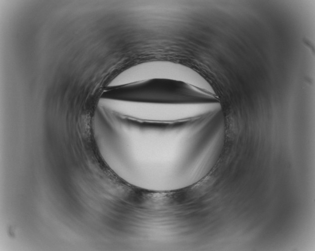 X0000099560184200806131242