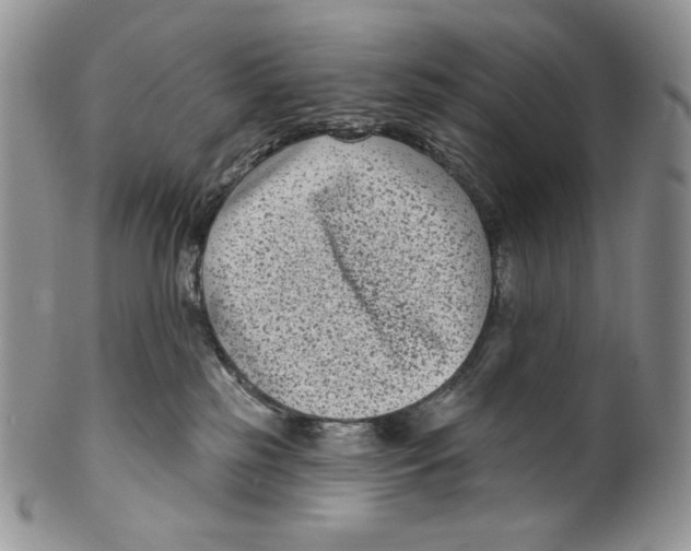 X0000099560185200806131242