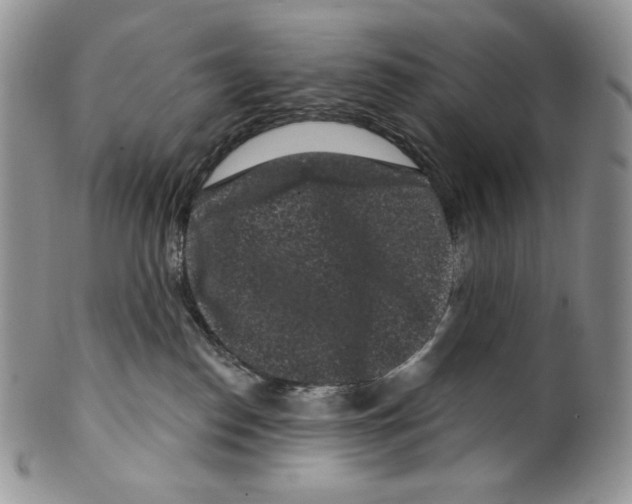 X0000099560186200806131242
