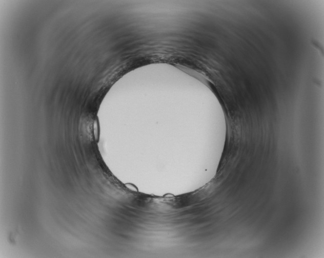 X0000099560188200806131242
