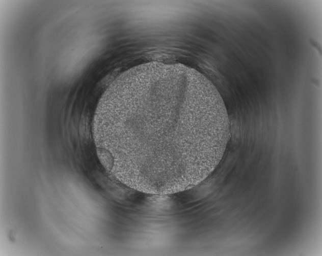 X0000099560189200806131242