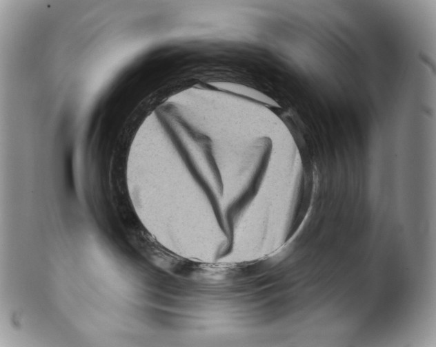 X0000099560190200806131242