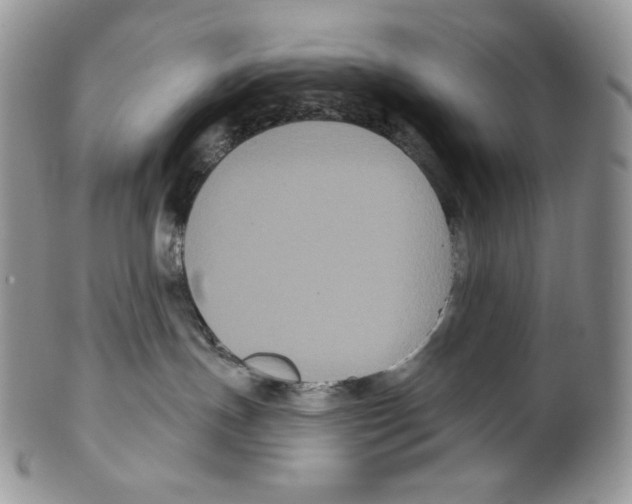 X0000099560191200806131242