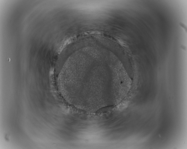 X0000099560192200806131242