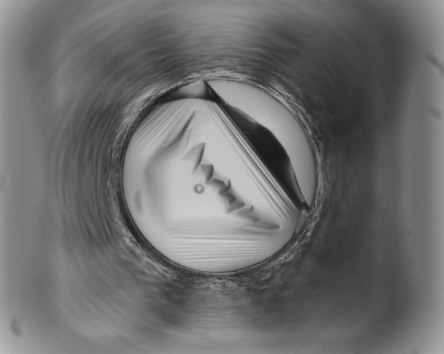 X0000099560193200806131242