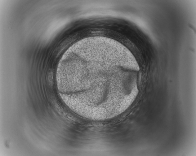 X0000099560194200806131242