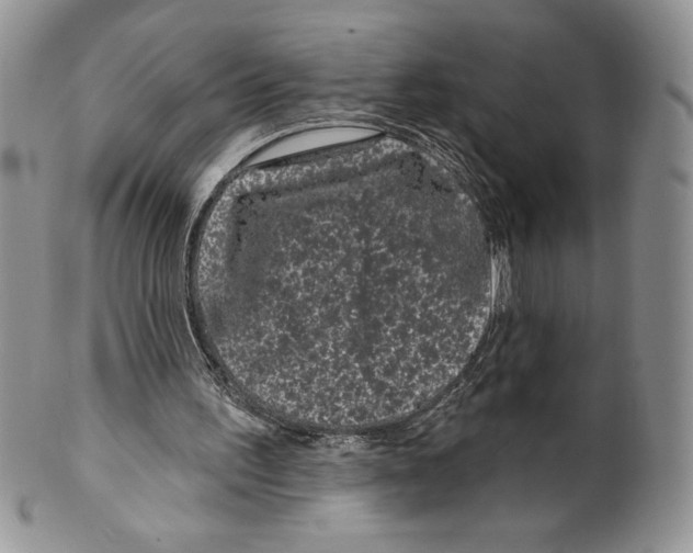 X0000099560195200806131242