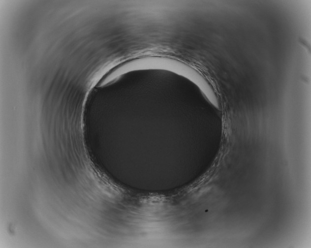 X0000099560196200806131242