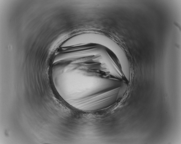 X0000099560197200806131242