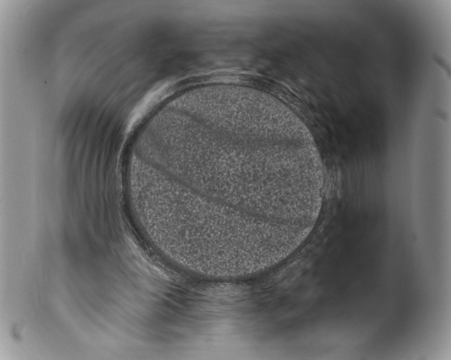 X0000099560198200806131242