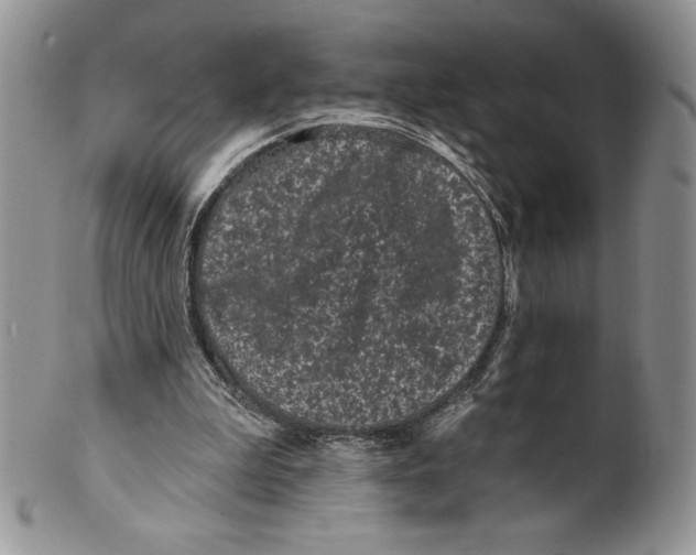 X0000099560199200806131242