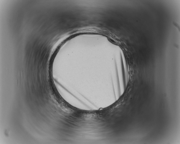 X0000099560200200806131242