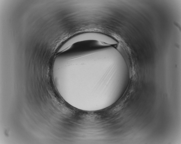 X0000099560201200806131242