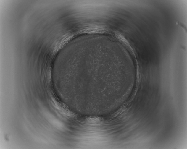 X0000099560202200806131241