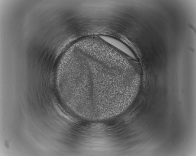 X0000099560203200806131241