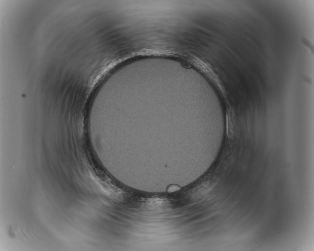 X0000099560204200806131241